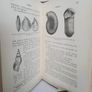 Science for All: Geology by C. I. Gardiner (PT214) Image 5