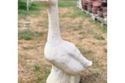 Large Goose White EG310