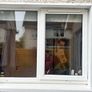 Window & roller blind Image 2