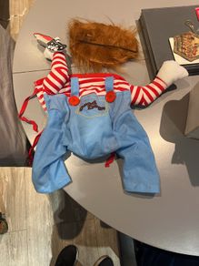 dog halloween costume