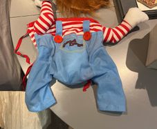dog halloween costume