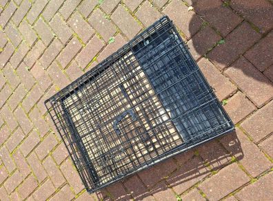 dog container