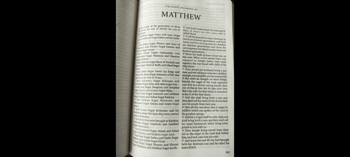 KJV Holy Bible Authorized Version Windsor Text TBS Trinitarian Bible Society 75GBP 90EUR calfskin on3ne3ss