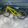 20" Ridgeback Image 2