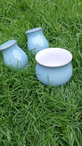 Denby set