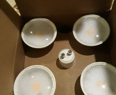 Gu10 bulbs