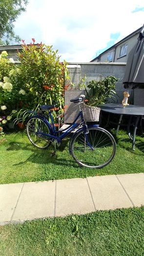 Vintage   Raleigh Lady's High Nelly Bicycle