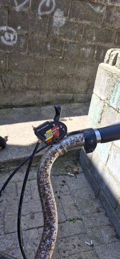 Women's bike