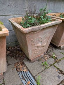 5 Large Terracotta Planters