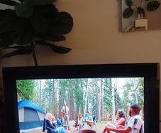 Perfect tv hdm1 hdm2 samsung 35