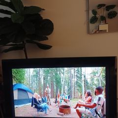 Perfect tv hdm1 hdm2 samsung 35