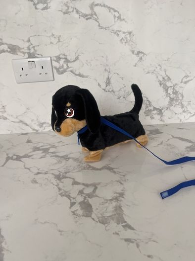 Toy Dog