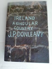 Book Ireland a singular country