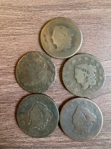 USA Large Cent 5 coin Lot