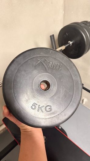 Gym bench, bar and weights.