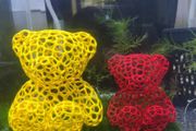 Teddy Bear Shrimp/Fish Hideout Aquarium, Moss Planting