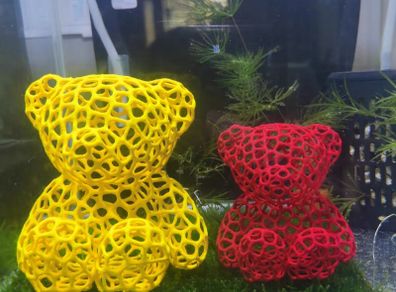 Teddy Bear Shrimp/Fish Hideout Aquarium, Moss Planting