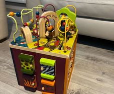 Zaney Zoo Activity Cube