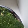Preserved moss planter Image 5