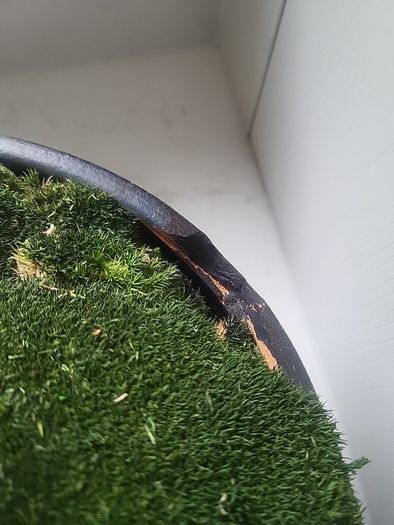 Preserved moss planter
