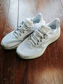 Nike Air Zoom Pegasus 41 EasyOn