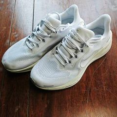 Nike Air Zoom Pegasus 41 EasyOn
