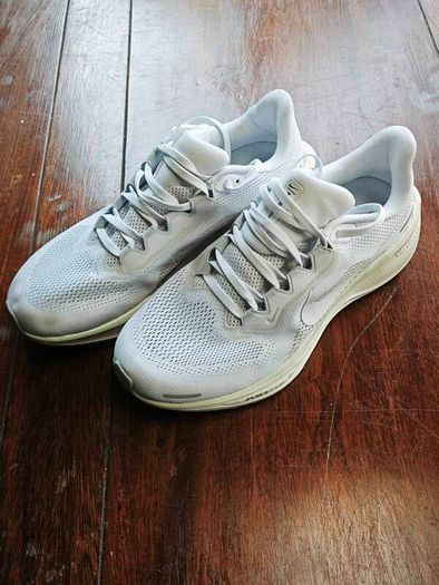 Nike Air Zoom Pegasus 41 EasyOn