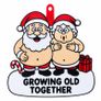 Growing Old Together Christmas Ornament, Personalised Couple Gift 3D Image 2