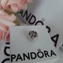new pandora disney Belle and friends Image 7