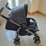 Buggy Image 9