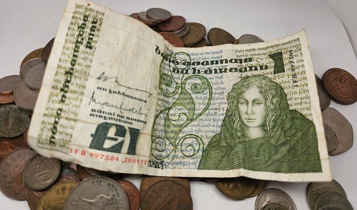 Bag of Irish Coins and Banknote