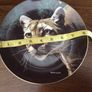 A pair of wild cat  8 inch decorative plates Image 7