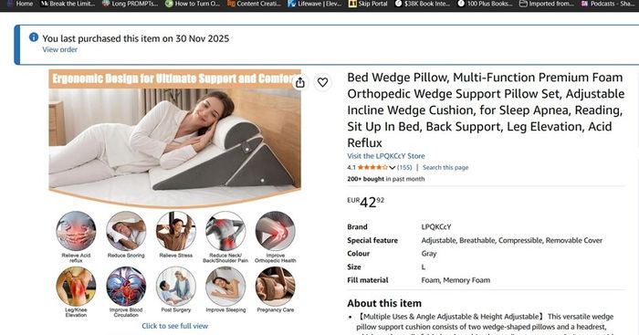 Bed back support