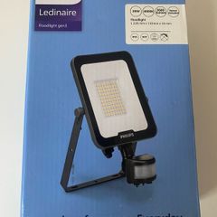 Philips Sensor / Motion Floodlight