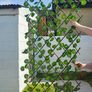 garden trellis Image 2