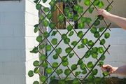 garden trellis