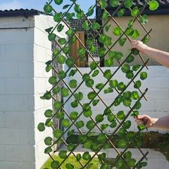 garden trellis