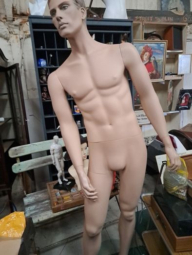 Male Mannequin