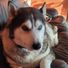 diefenbaker 89