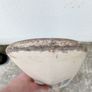 vintage cricket bat Image 7