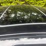 Bmw 318I Image 8