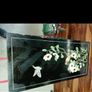 antique cabinet Image 4