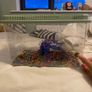Fish Tank Image 3