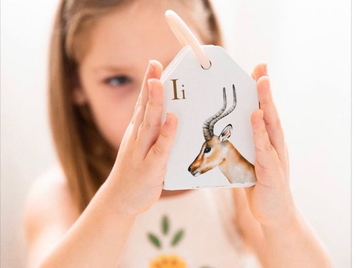 NEW Animal Alphabet Flash Cards by Modern Monty