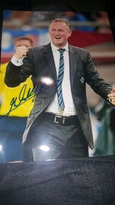 Northern Ireland manager Michael O'Neill