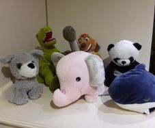 Soft Toy
