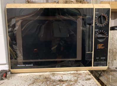 Electric oven