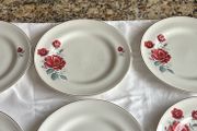 arklow plates