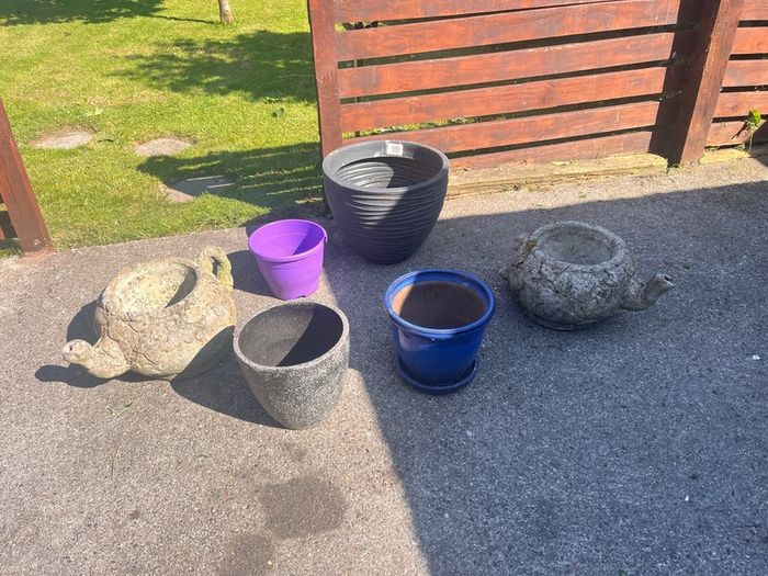 Few garden bits
