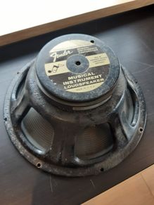 Fender 12 inch speaker